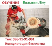 Удостоверение вальщика леса